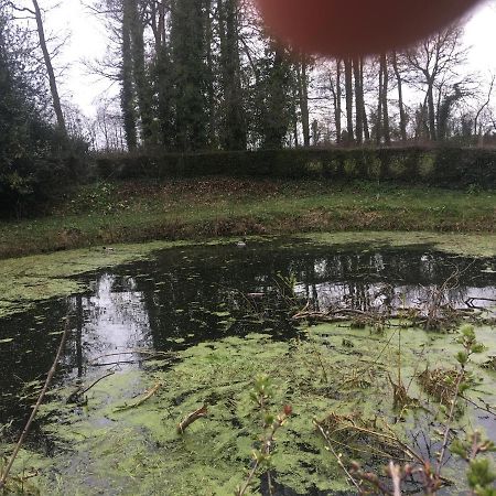 Le Colombier De Royaumont Villa Saint-Arnoult  Dış mekan fotoğraf