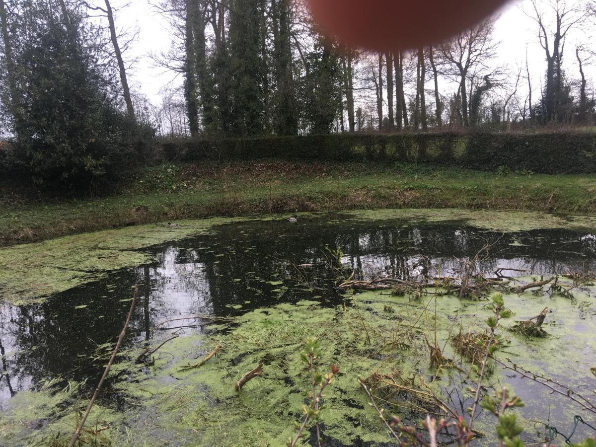 Le Colombier De Royaumont Villa Saint-Arnoult  Dış mekan fotoğraf